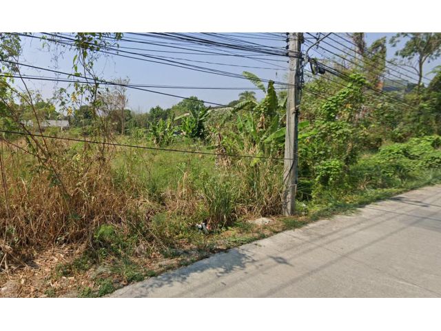 L309-ขายที่ดิน 1-0-30 ไร่ (หลัง มช. ต.สุเทพ อ.เมืองเชียงใหม่ จ.เชียงใหม่)