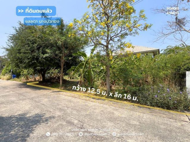 ที่ดินเปล่าถมแล้วใน หมู่บ้านชลลดา บางบัวทอง (ขนาด 50 ตร.ว.) ถ.บางกรวย-ไทรน้อย