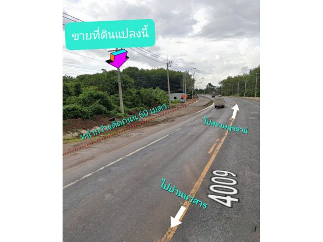 ขายที่ดินติดถนน นาสาร-สุราษฎฯ