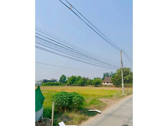 ขายที่ดินติดถนนหลักค้าขายได้หลังสำนักงานที่ดินสันทรายพร้อมโอน