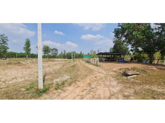 ขายที่ดินอุดรธานี มีไฟฟ้า น้ำประปา พร้อมสระน้ำ เหมาะสำหรับทำบ้านสวน