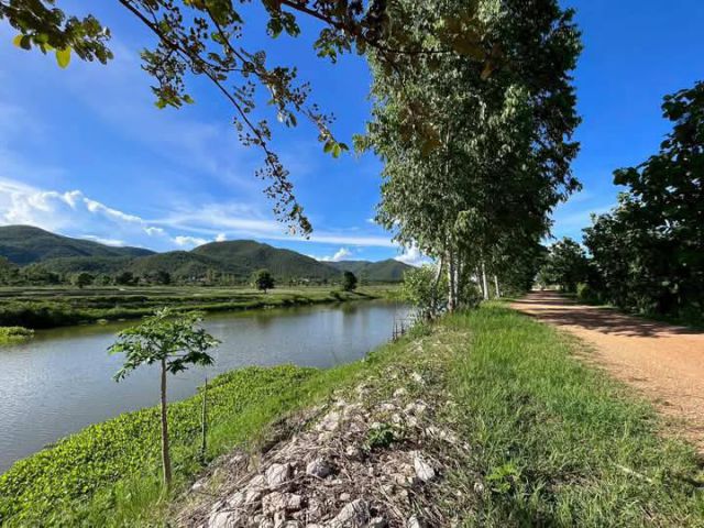 ขายที่ดินบ้านทาปลาดุกแม่ทาวิวท้องนาพร้อมโอน