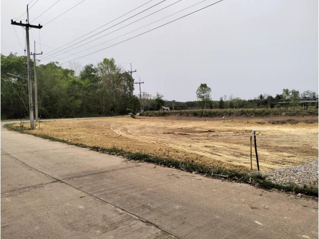 ขายที่สร้างบ้านโฉนดครุฑแดง 1 งาน 20 ตรว. อ.วังสะพุง จ.เลย เพียง 220,000 บาท