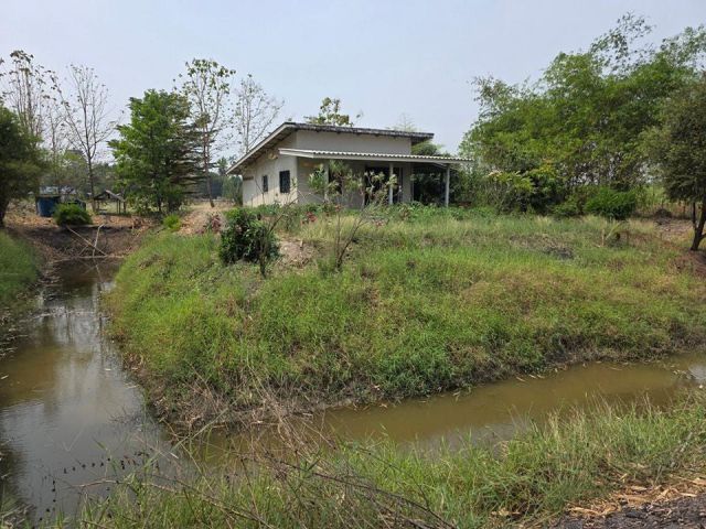 บ้านสวนพร้อมที่ดิน เนื้อที่ 4ไร่ 2งาน 54ตรว. น้ำไฟพร้อม มีเพื่อนบ้าน ยกแปลง 2,390,000 บาท