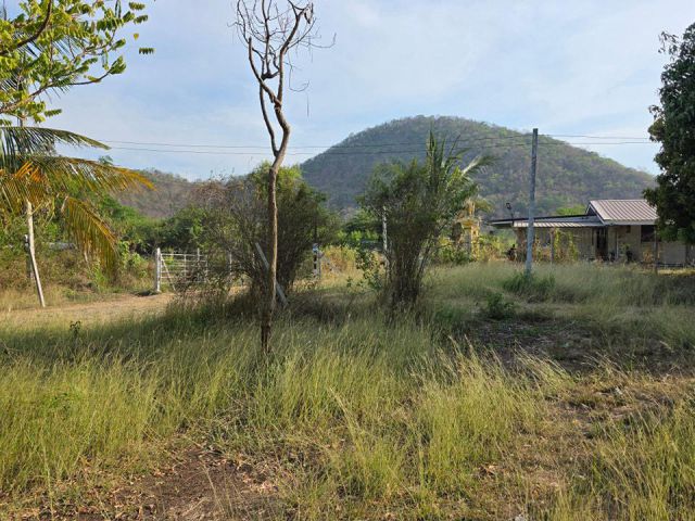 บ้าน 2หลังพร้อมที่ดิน เนื้อที่ 1ไร่ 2งาน 50 ตรว.  ร่มรื่น วิวภูเขาสวย อยู่ในแหล่งชุมชน ยกแปลงเพียง 1,290,000 บาท ️