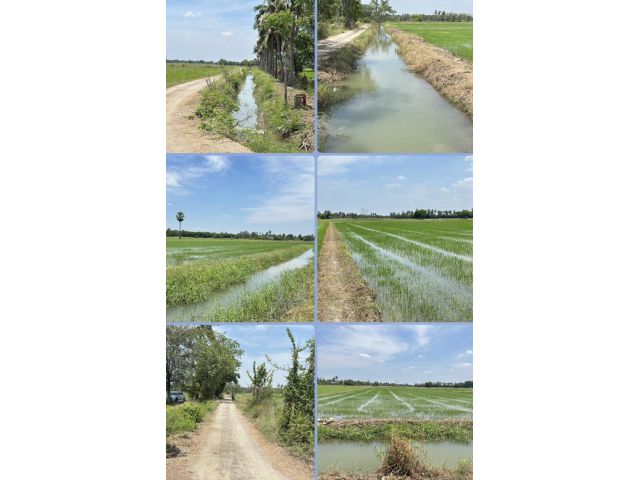ที่นา ดินดี น้ำดี