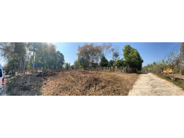 ขายถูกมาก!! ที่ดิน 3 งาน 64 ตร.ว. ติดถนน ทำเลทอง อ.แม่จัน จ.เชียงราย ใกล้ไร่ชาฉุยฟง โรงงานดอยคำ โลตัสแม่จัน