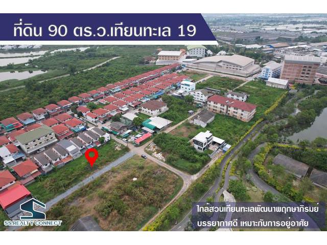 ขายที่ดิน 90 ตร.ว.ซอยเทียนทะเล 19 บางขุนเทียน กรุงเทพฯ