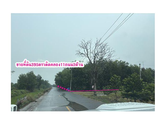 ขายที่ดินติดคลอง11ติดถนน2ด้านตำบลบึงกาสามอำเภอหนองเสือจังหวัดปทุมธานี