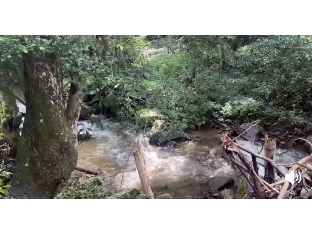 ขายที่ดินบ้านฟ้ามุ่ยเทพเสด็จติดน้ำตกยาว 90 เมตรโฉนด