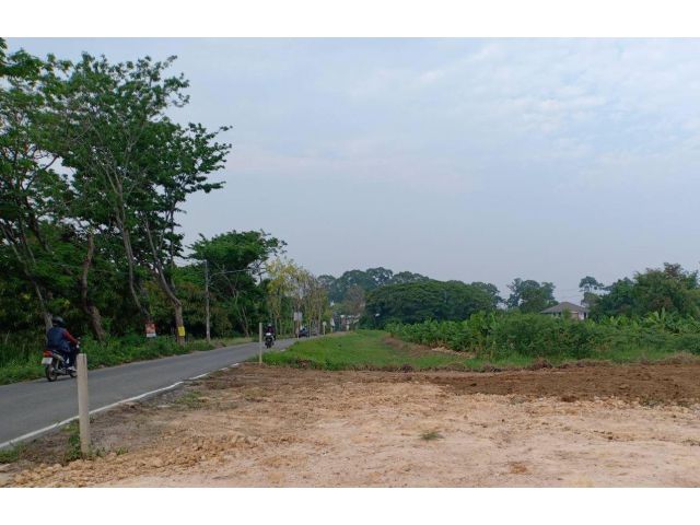 ขายที่ดินตำบลหนองผึ้งสารภีบ้านเสาหินติดถนนค้าขายได้