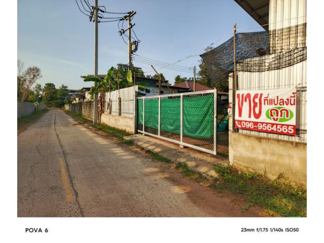 ขายด่วนที่ดิน120ตรว.พร้อมโรงเรือน ตรงข้ามหอAA ไกล้ ม.อุบล ติดถนน