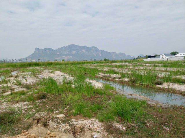 ขายที่ดินเปล่า วิวภูเขา ใกล้หาดชะอำ เนื้อทึ่ 16-1-84 ไร่ ถนนเพชรเกษม ตำบลชะอำ อำเภอชะอำ จังหวัดเพชรบุรี