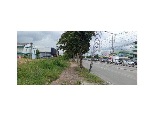 ขายที่ดิน 15 ไร่ ติดถนนลำลูกกา คลองห้า ต.ลาดสวาย อ.ลำลูกกา จ.ปทุมธานี