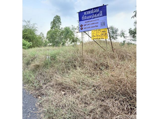 ขายที่ดิน 218 ตรว. ถมสูงทั้งแปลง ซอยสวนพริกไทย หมู่4  ถนนเลียบคลองเปรม (ซอยเกิดผล) ต.สวนพริกไทย อ.เมือง จ.ปทุมธานี