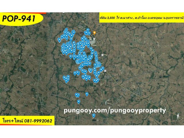 POP-941 ที่ดิน 2,500 ไร่ ต.นาส่วง , ต.ป่าโมง อ.เดชอุดม จ.อุบลราชธานี