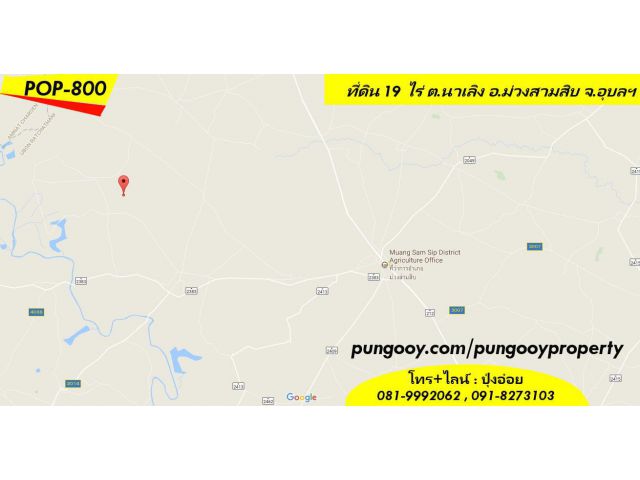 POP-800 #ขายที่ดินอุบล ที่ดิน 19 ไร่ ต.นาเลิง อ.ม่วงสามสิบ จ.อุบลฯ ห่างถนนวงแหวนม่วงฯ (2383) 7 นาที ไร่ละ 1.85 แสนบาท