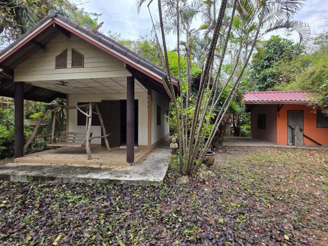 บ้านสวนพร้อมที่ดิน เนื้อที่ 3ไร่ 2งาน ต้นไม้ร่มรื่นมากๆ