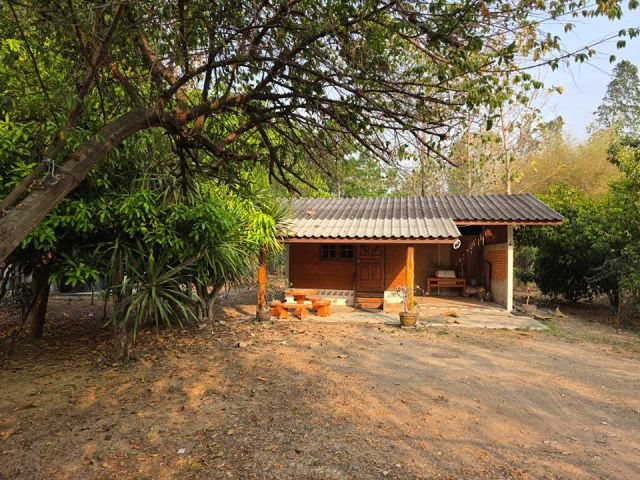 บ้านพร้อมที่ดิน เนื้อที่ 200 ตรว. ติดถนนลาดยาง ร่มรื่น อยู่ในแหล่งชุมชน
