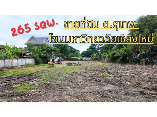 ขายที่ดินอำเภอเมืองเชียงใหม่ ต.สุเทพ ใกล้คันคลองแม่เหี๊ยะ ใกล้มช. เนื้อที่ 265 ตร.ว.