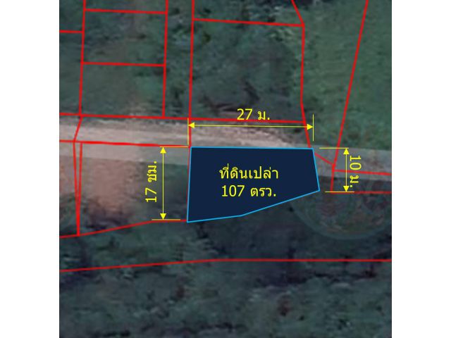 L164-ขายที่ดินเปล่า 107 ตรว. ต.ท่าศาลา อ.เมืองเชียงใหม่ จ.เชียงใหม่