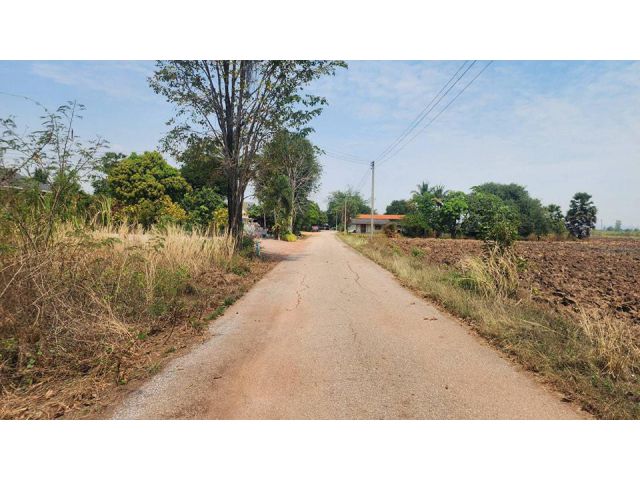 ที่ดินเนื้อที่ 245ตรว. ติดถนนลาดยาง อยู่ในแหล่งชุมชน เพียง 450,000 บาท ️
