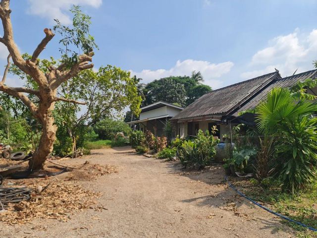 บ้าน 2หลังพร้อมที่ดิน เนื้อที่ 3ไร่ 1งาน 5ตรว.ติดลำห้วย บรรยากาศดี ใกล้ถนนสายหลัก ️