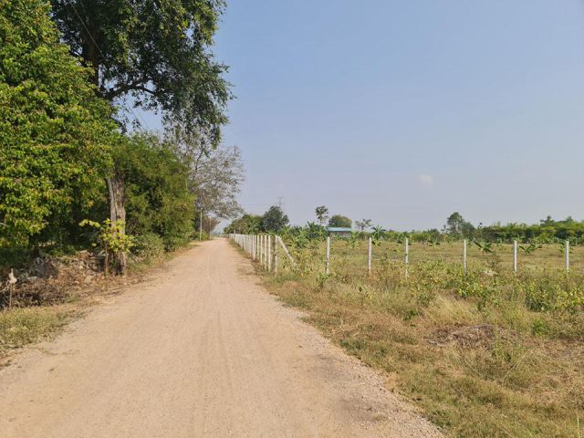 ที่ดินเนื้อที่ 4ไร่ น้ำไฟพร้อม เหมาะเป็นบ้านสวน บ้านพักตาก ดินดี มีเพื่อนบ้าน วิวภูเขา ️