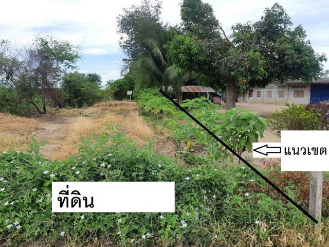 ที่ดิน เนื้อที่ 5ไร่2งาน98ตรว. ริมถนน เป็นบ่อดินเก่า มีพื้นที่ดินประมาณ2งาน