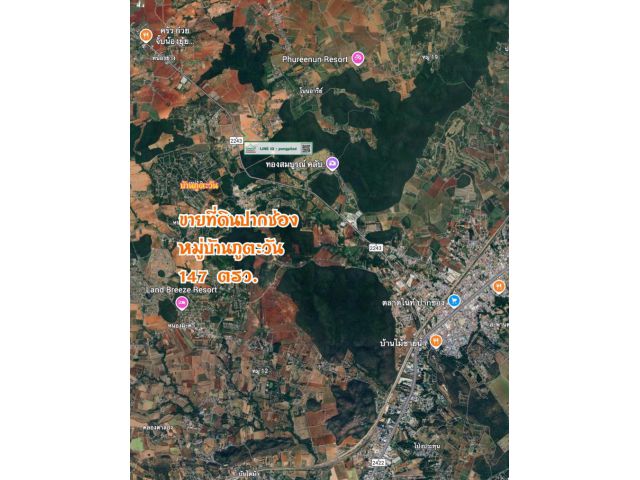 ขายที่ดินปากช่อง หมู่บ้านภูตะวัน 147 ตรว.ละ 8,000 บาท