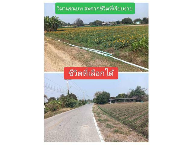 เรื่องดีๆถูกๆสวยงามมันผูกใจห้ามกันไม้ได้จริงๆของที่แปลงนี้ ที่ไร่ไม่ต้องถมน้ำไฟพร้อมย่อมเป้นโอกาส คือสิ่งของต้องประสงค์