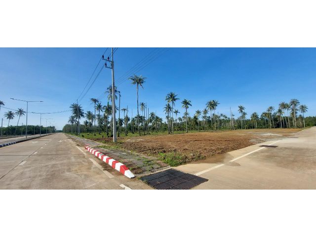 ที่ดินติดถนนใหญ่ ทำลทำธุรกิจ อยู่ใกล้เมืองโคกกลอย บรรยากาศดี