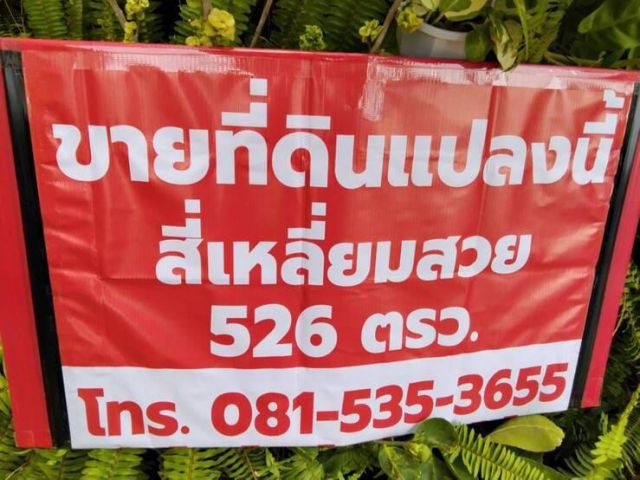 ขายด่วนที่ดินสวย 526 ตรว.ทำเลทอง เขตลาดกระบัง ซื้อวันนี้ 75,000/ว.ปีหน้าขาย 200,000/ว โทร 0815353655