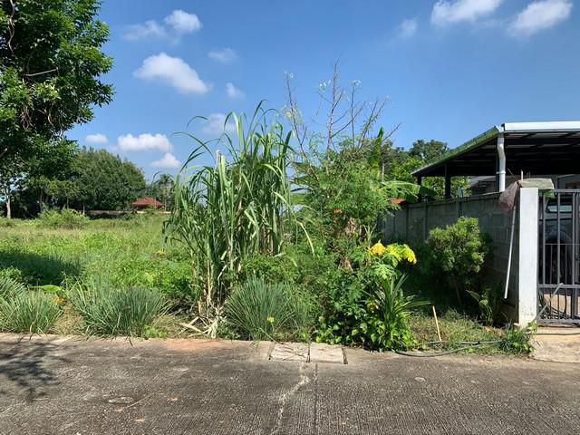 ขายที่ดินหมู่บ้านแม่สารบ้านตอง อำเภอเมืองลำพูน จังหวัดลำพูน