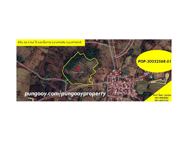 POP-30032568-01 ที่ดิน 34-3-8.6 ไร่ ต.ยางโยภาพ อ.ม่วงสามสิบ จ.อุบลราชธานี