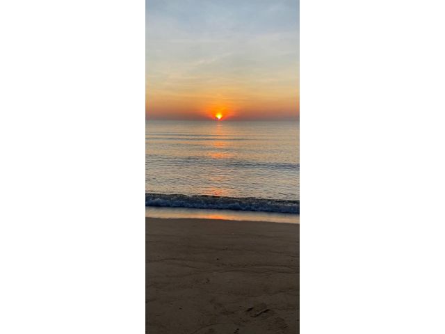 ** ขายถูก ที่ดินติดทะเล 1500 เมตร หาดส่วนตัวระยอง โฉนด 227 ไร่