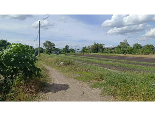 ขาย  ที่ดิน 11-1-76 ตร.ว.. ใกล้ถนนราชพฤกษ์ (10)