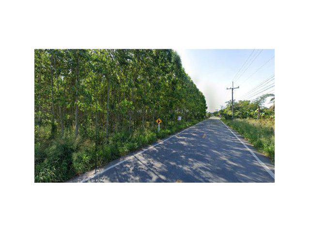 ขายที่ดิน 6 ไร่ ติดถนนหนองปลาไหล-หนองปัก ต.นาเริก อ.พนัสนิคม จ.ชลบุรี