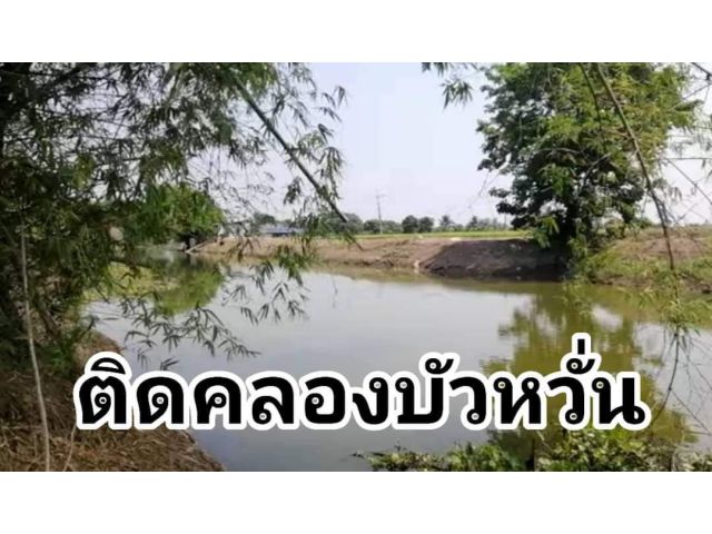 ■■■ขายที่ดินติดคลอง+ติดถนนลาดยาง■■■
