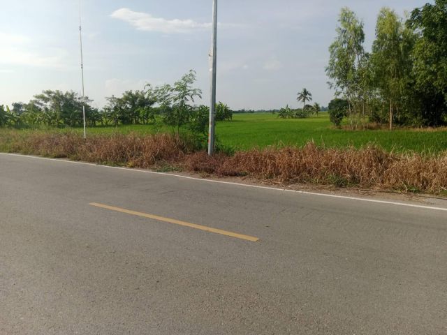 ขายที่ อำเภอมโนรมย์ จังหวัดชัยนาท ขนาด 60 ตรว.ติดถนนดำ ทางสาธาณประโยชน์ มีน้ำไฟ ผ่านหน้าที่ ห่างจากถนนหลักพหลโยธินเพียง