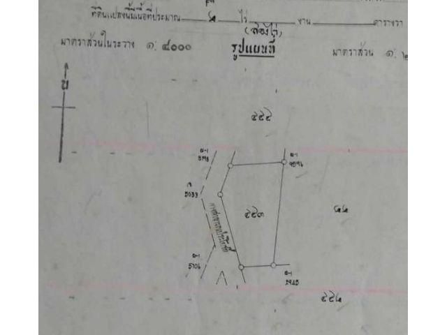 ขาย ด่วน ที่ดิน 2ไร่ ใกล้โลตัส พนัสนิคม