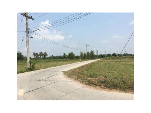 ขายที่ดิน 17 ไร่ ต.หนองขยาด อ.พนัสนิคม จ.ชลบุรี