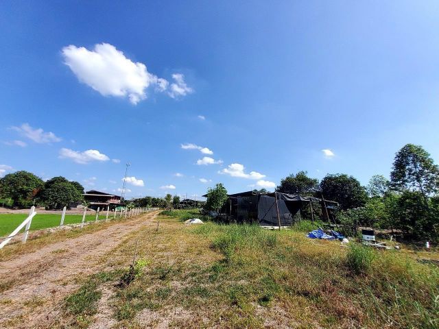 ขายด่วน ที่ดินสร้างบ้านสวน 2-3-31 ไร่ ถมไว้แล้วเกือบทั้งแปลง ซ.ซีพีแรม อ.ลาดหลุมแก้ว จ.ปทุมธานี