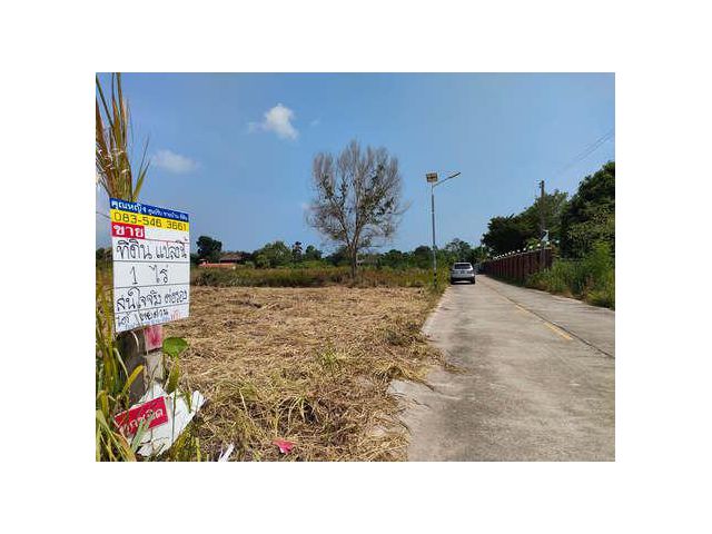 ที่ดิน 1 ไร่  พลูตาหลวง ใกล้สนามบินอู่ตะเภา ตลาด สถานีรถไฟ และโรงพยาบาล