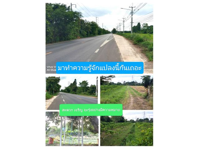 โครงการถนน4ช่องจราจร มีอะไรต้องแนะนำกัน สวยสู่ถนนสายหลัก 3273 ด้วยราคาที่ถูกต้องเป็นธรรม ต.หนองปลาหมอที่รอการพิสูจน์