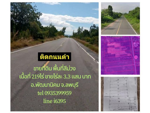 ขายที่ดินสีม่วง 219ไร่ อ.พัฒนานิคม จ.ลพบุรี