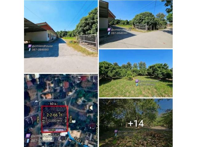 ขายที่ดินแถมหอพัก 2ไร่กว่า ตรว.ละ12,000 ใกล้เซ็นทรัลเฟส 10 กม. เทศบาลสันป่าเปา ใกล้ตลาดบ่อหิน