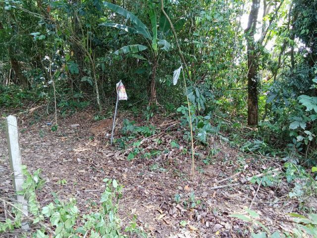 ขายที่ดินแปลงเล็กใกล้เมืองเก่าตะกั่วป่า