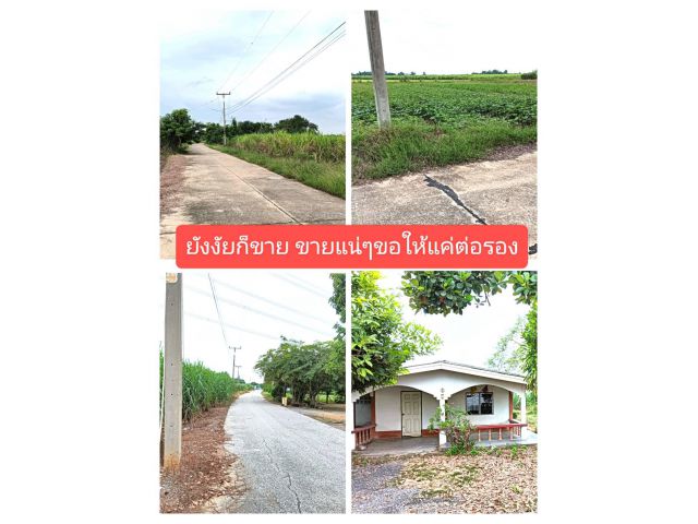 เสนอข้อมูลที่ยอมรับกันได้ในยุคนี้ มีดีเกินกว่าที่จะบรรยายได้หมด ถูกเหลือคณานับจงรับในสิ่งนี้ เงื่อนไขอยากขายสถานเดียว