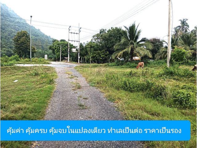 ราคาเป็นตัวชี้วัด ให้คิดสักนิดสำหรับใครที่คิดบวก ถูกสวยตรงใจ ที่อยู่อาศัยใช่เลยใส่ใจในความพร้อมที่ไม่มีเงื่อนให้ยุ่งยาก